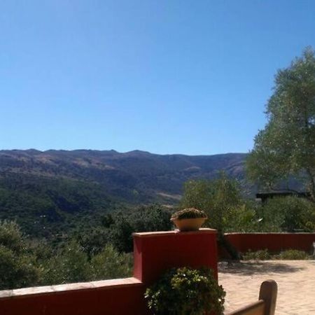 Villa Carmen Magnificent Country House In Serrania Ronda Exterior photo