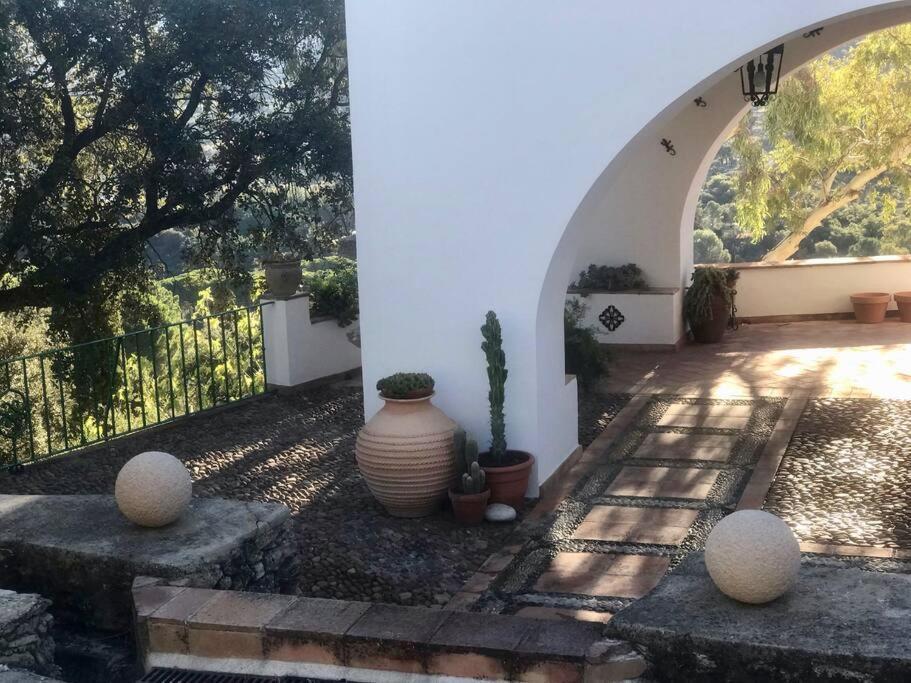 Villa Carmen Magnificent Country House In Serrania Ronda Exterior photo