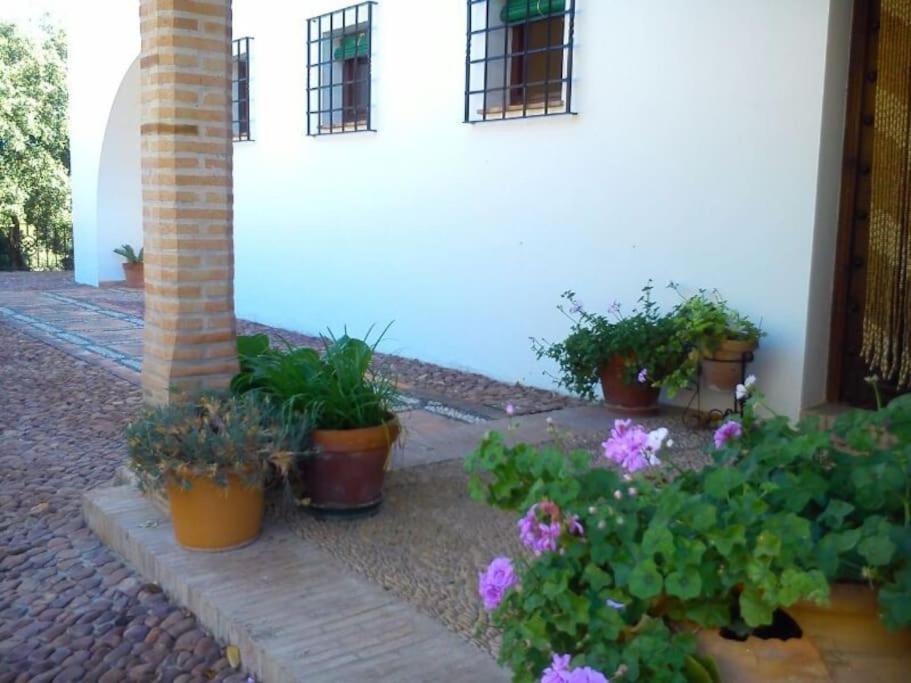 Villa Carmen Magnificent Country House In Serrania Ronda Exterior photo