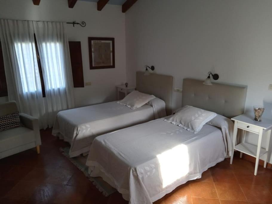 Villa Carmen Magnificent Country House In Serrania Ronda Exterior photo